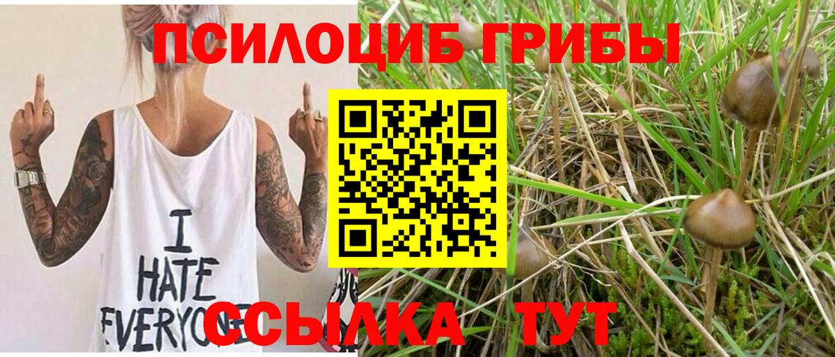 Бирск  Галлюциногенные грибы мицелий  где купить   Вход с VPN  Галлюциногенные грибы мухоморы 