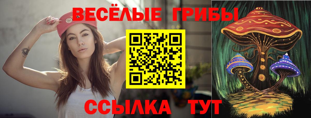 Псилоцибиновые грибы GOLDEN TEACHER Бирск